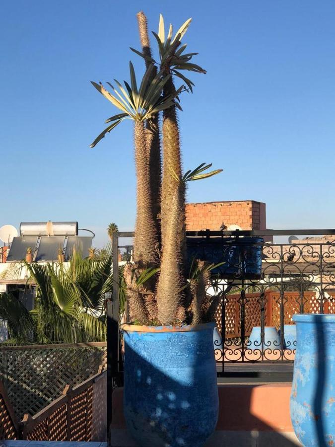 Riad Rose Eternelle Marrakesz Zewnętrze zdjęcie